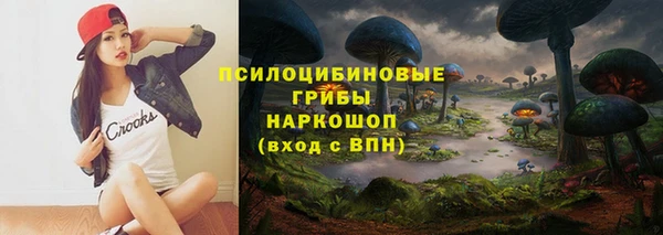 спайс Гусиноозёрск