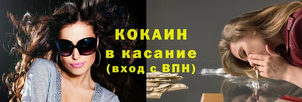 спайс Гусь-Хрустальный