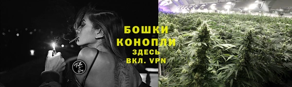 спайс Гусиноозёрск