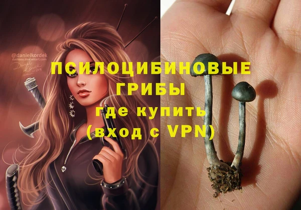 спайс Гусь-Хрустальный