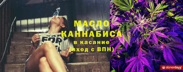 спайс Гусь-Хрустальный