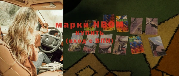 спайс Гусь-Хрустальный