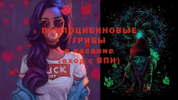 спайс Гусь-Хрустальный