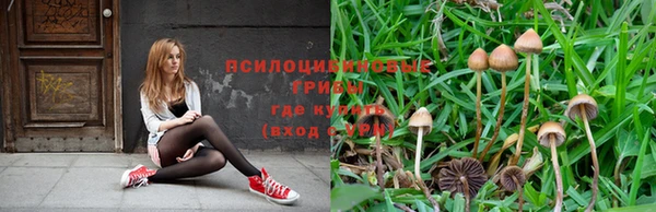 соль ск Гусев