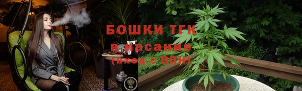 соль ск Гусев