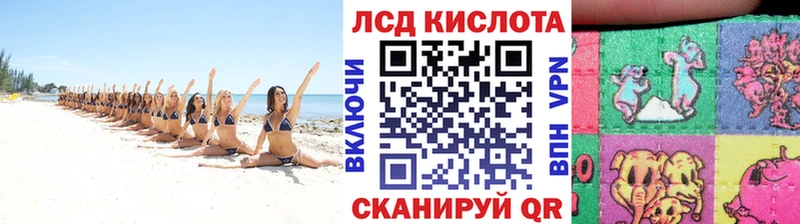 Купить где  Лодейное Поле  Марки NBOMe 1,5мг 